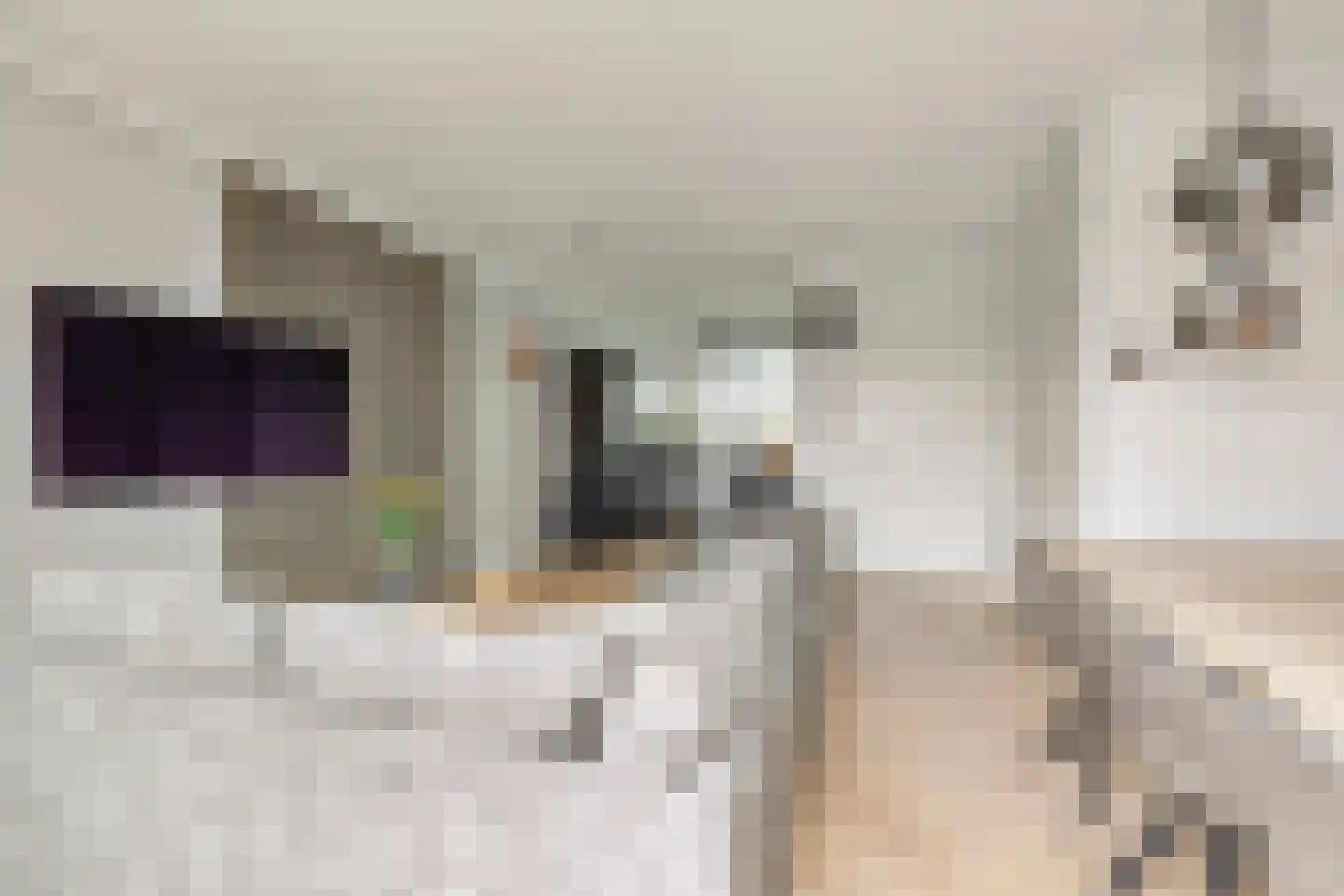 Toornkamp 9 Didam thumbnail 5