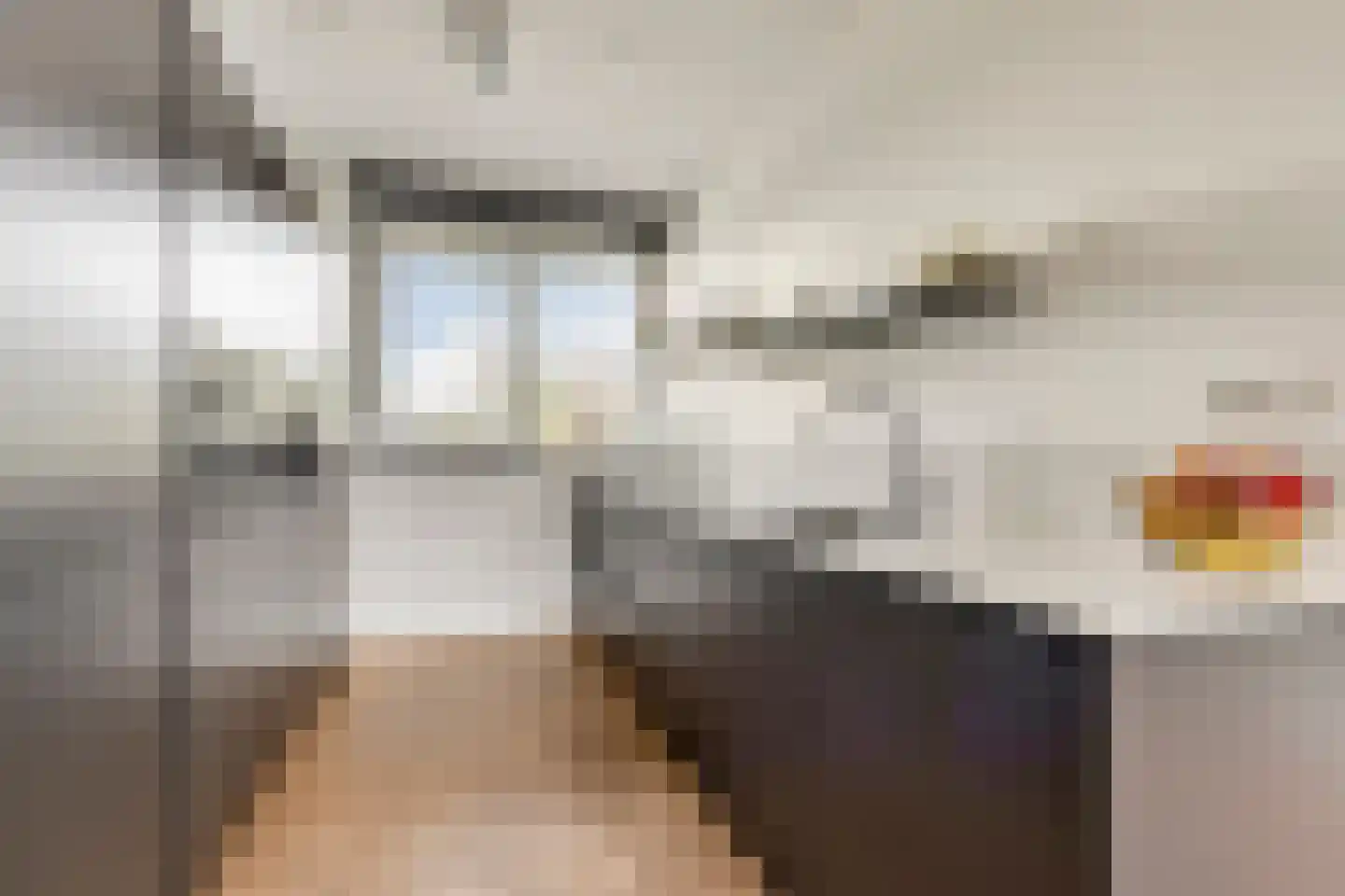 Toornkamp 9 Didam thumbnail 7