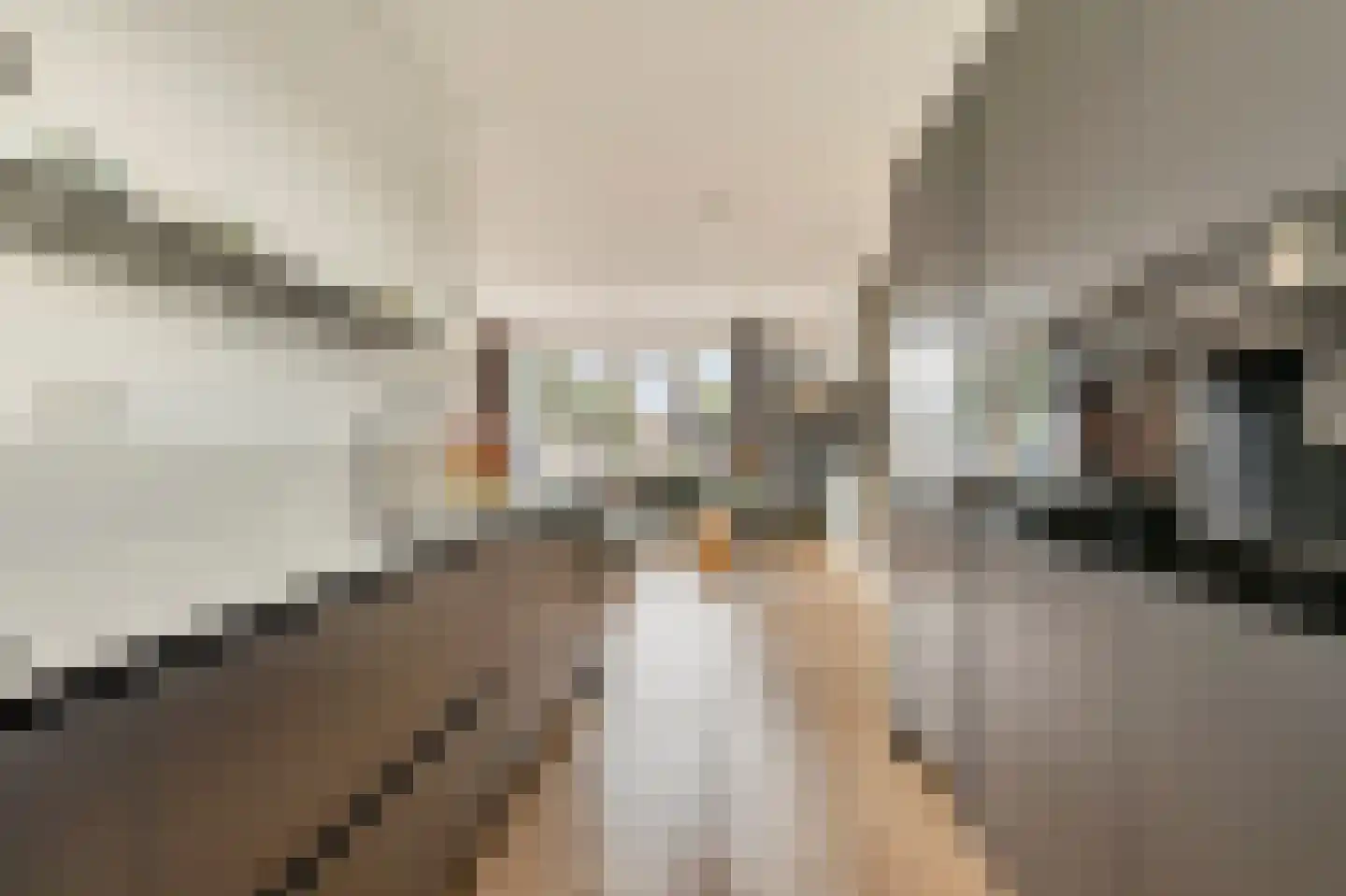 Toornkamp 9 Didam thumbnail 8