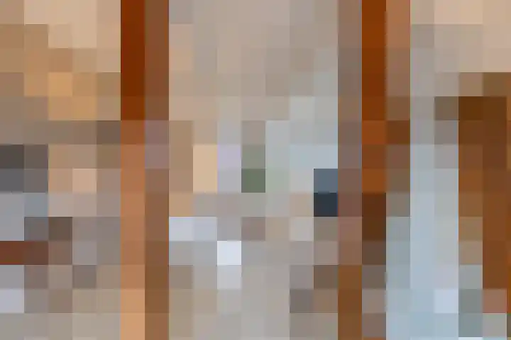 Toornwerderweg 4 Toornwerd thumbnail 13