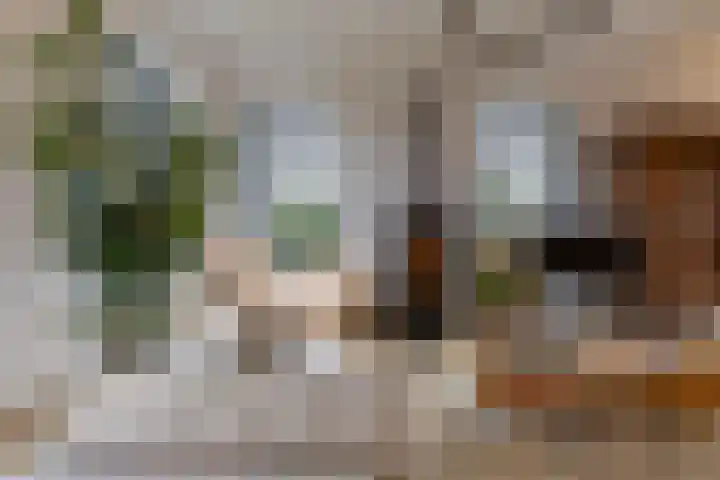 Toornwerderweg 4 Toornwerd thumbnail 15