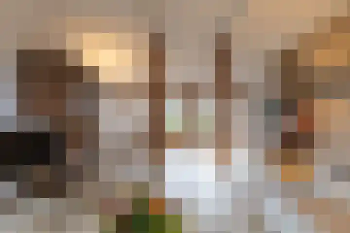 Toornwerderweg 4 Toornwerd thumbnail 17