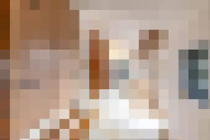 Toornwerderweg 4 Toornwerd thumbnail 18