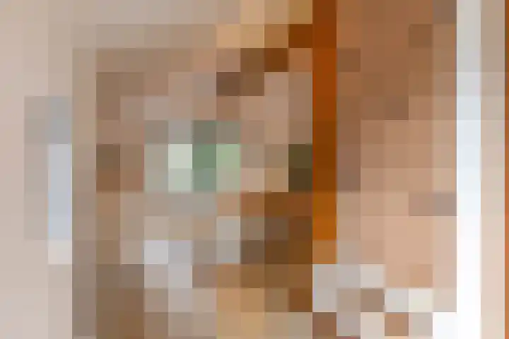 Toornwerderweg 4 Toornwerd thumbnail 19