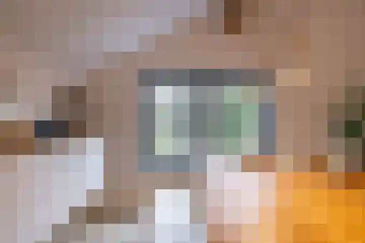Toornwerderweg 4 Toornwerd thumbnail 21
