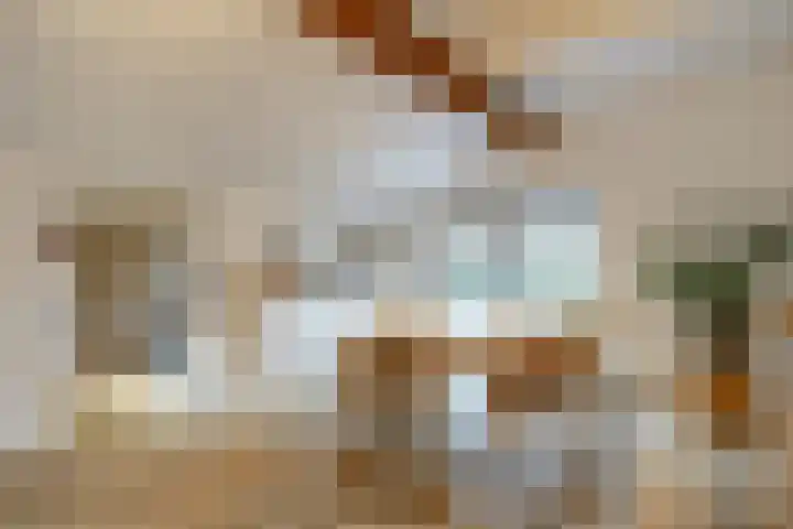 Toornwerderweg 4 Toornwerd thumbnail 22