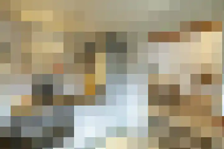 Toornwerderweg 4 Toornwerd thumbnail 23