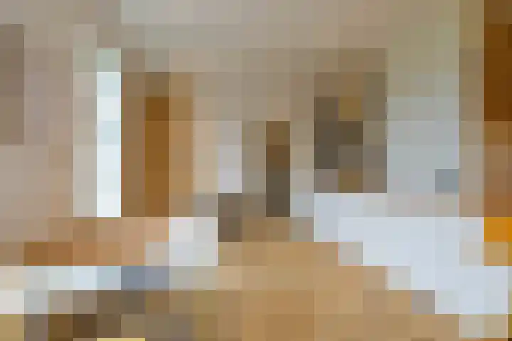 Toornwerderweg 4 Toornwerd thumbnail 27