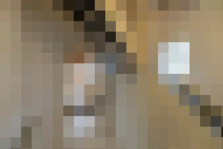 Toornwerderweg 4 Toornwerd thumbnail 31