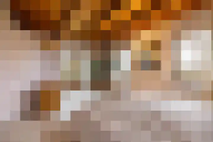 Toornwerderweg 4 Toornwerd thumbnail 4