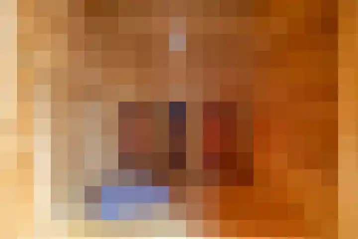 Toornwerderweg 4 Toornwerd thumbnail 41