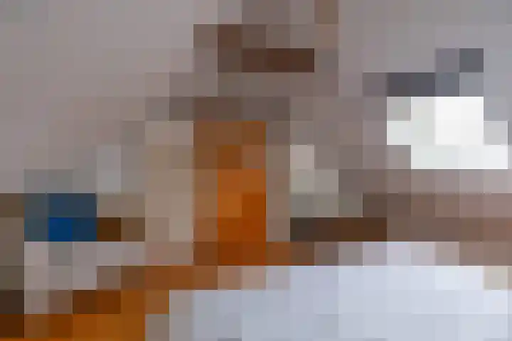 Toornwerderweg 4 Toornwerd thumbnail 44