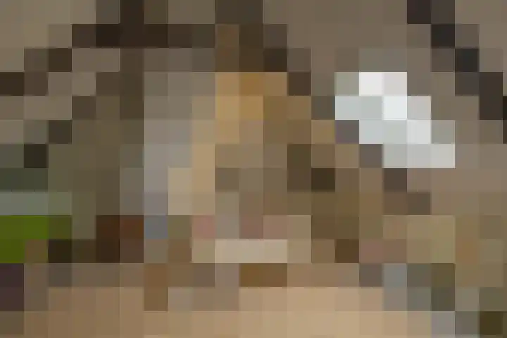 Toornwerderweg 4 Toornwerd thumbnail 45