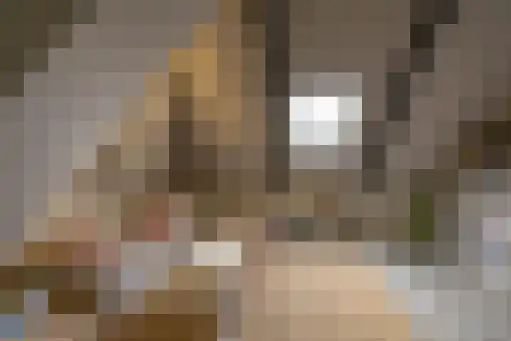 Toornwerderweg 4 Toornwerd thumbnail 46