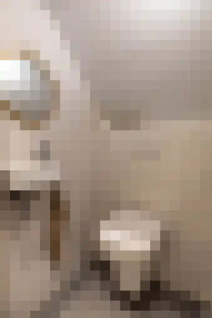 Toornwerderweg 4 Toornwerd thumbnail 48