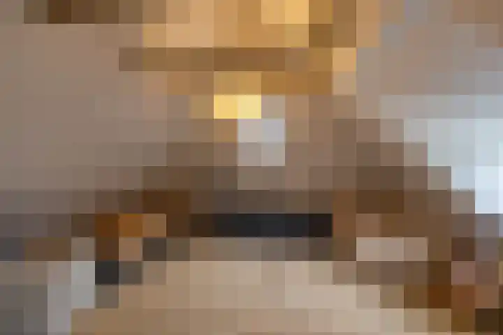Toornwerderweg 4 Toornwerd thumbnail 49