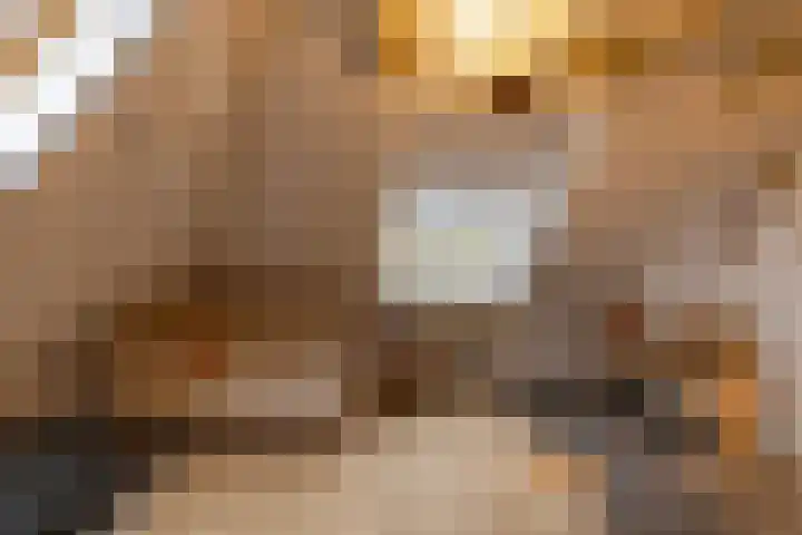 Toornwerderweg 4 Toornwerd thumbnail 50