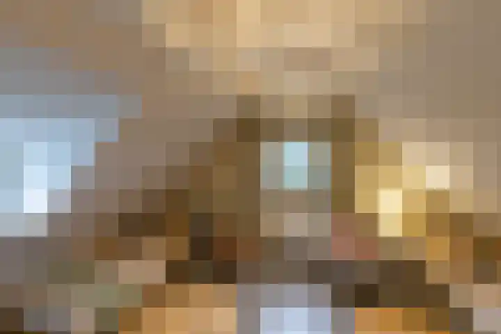 Toornwerderweg 4 Toornwerd thumbnail 51