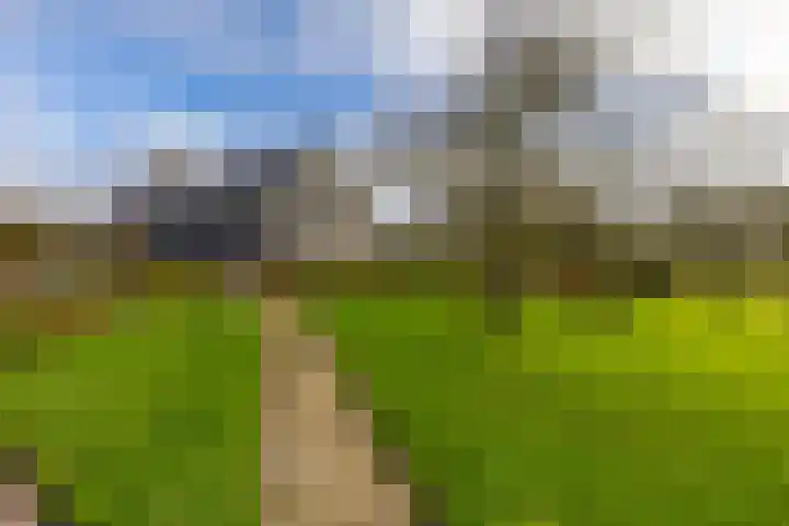 Toornwerderweg 4 Toornwerd thumbnail 53