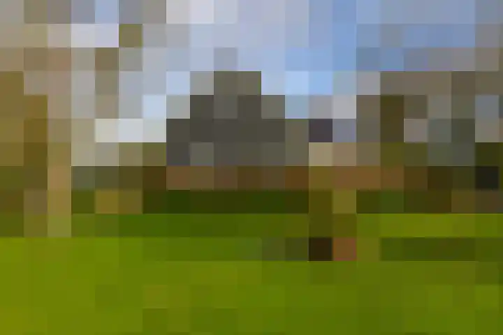 Toornwerderweg 4 Toornwerd thumbnail 54