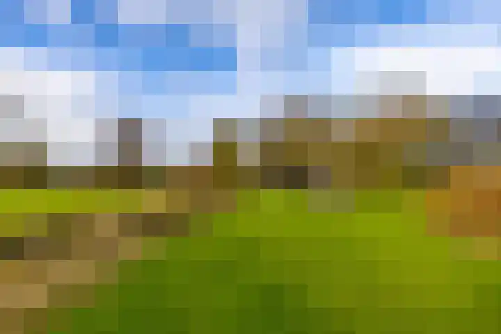 Toornwerderweg 4 Toornwerd thumbnail 55