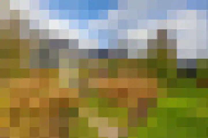 Toornwerderweg 4 Toornwerd thumbnail 56