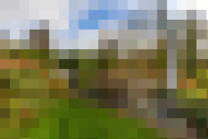 Toornwerderweg 4 Toornwerd thumbnail 57