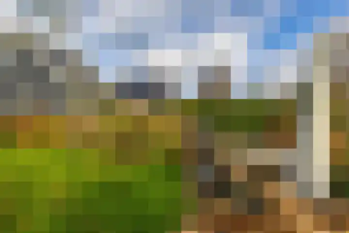 Toornwerderweg 4 Toornwerd thumbnail 58