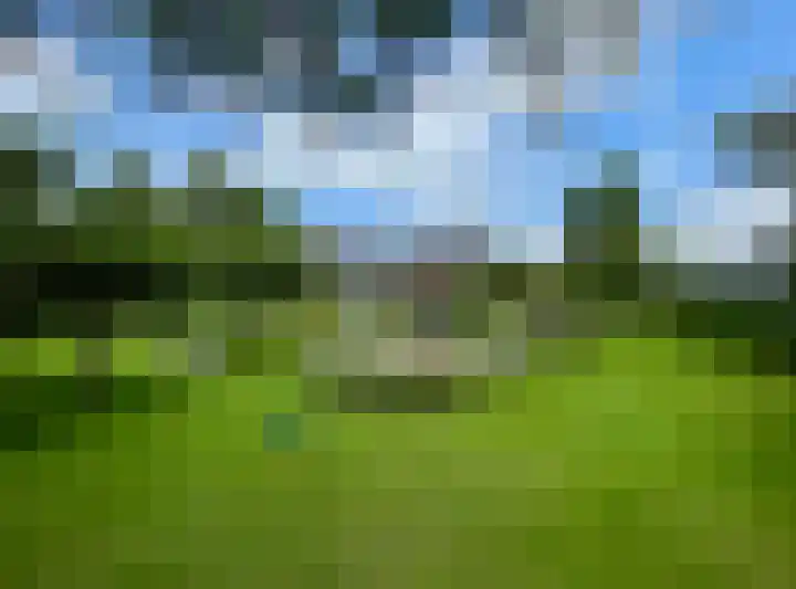 Toornwerderweg 4 Toornwerd thumbnail 59