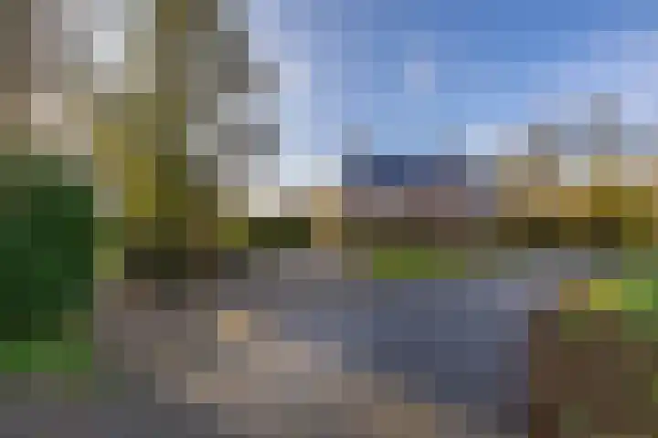 Toornwerderweg 4 Toornwerd thumbnail 6