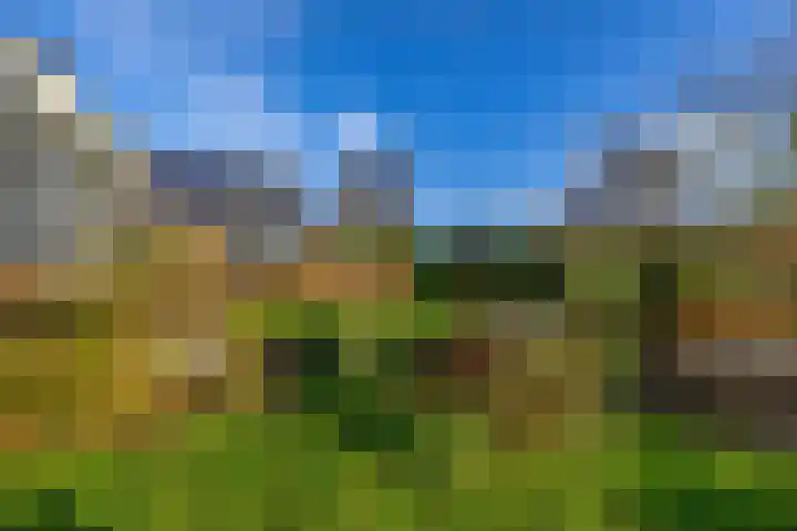 Toornwerderweg 4 Toornwerd thumbnail 60