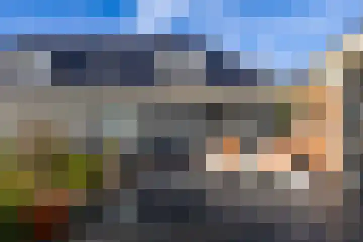 Toornwerderweg 4 Toornwerd thumbnail 61