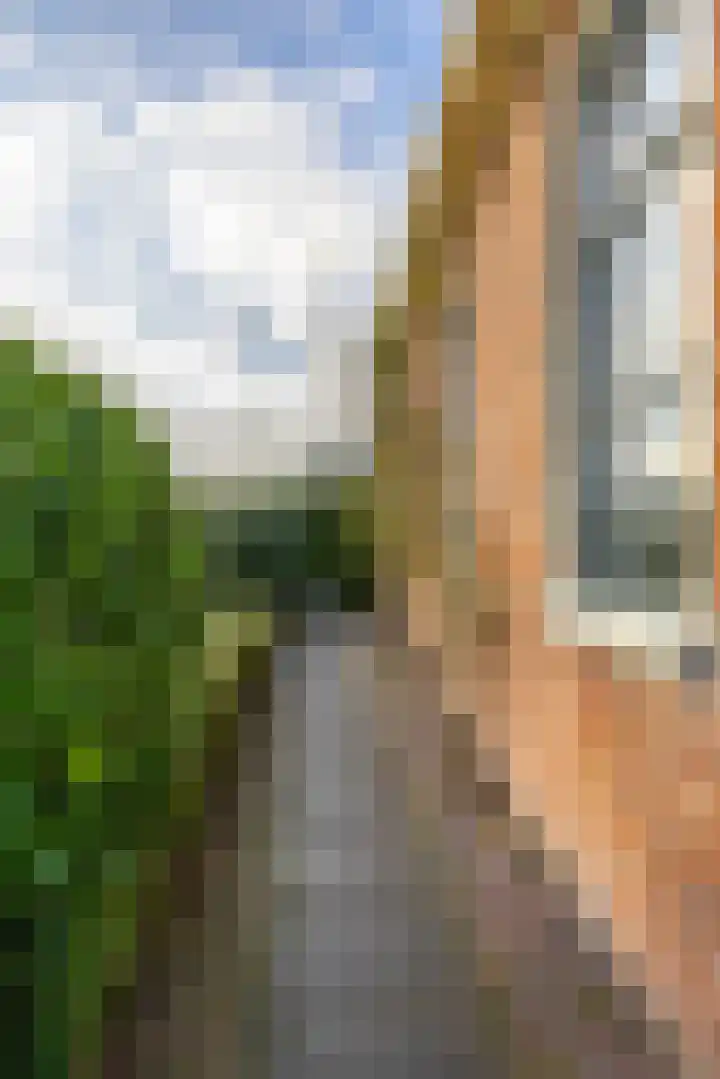Toornwerderweg 4 Toornwerd thumbnail 62