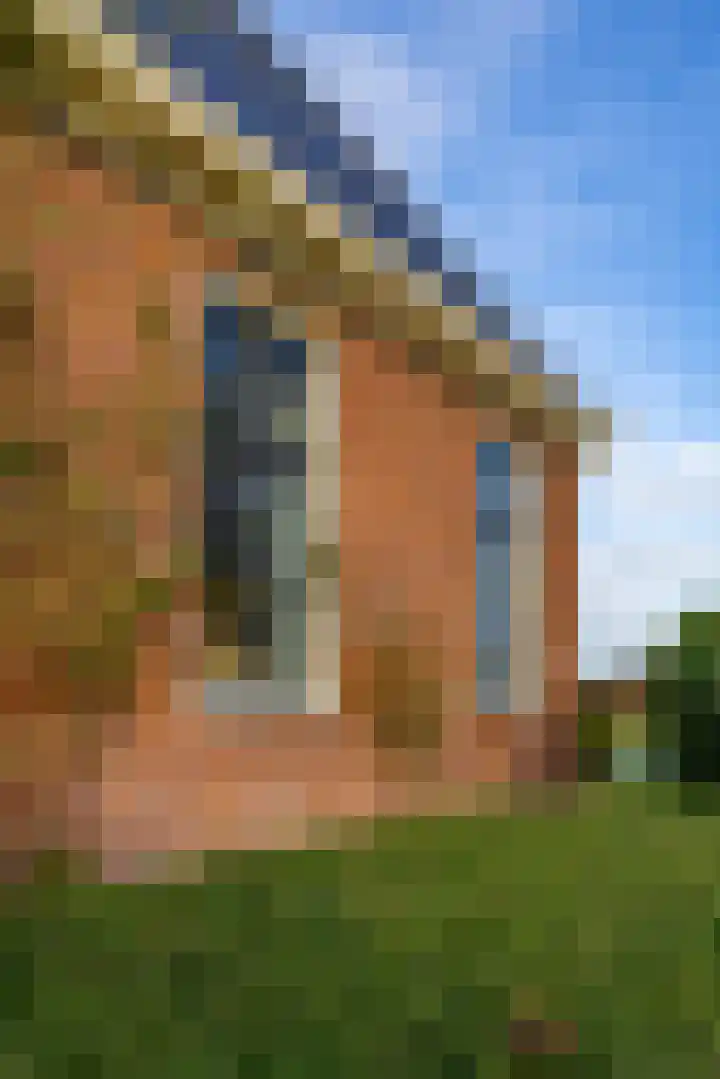 Toornwerderweg 4 Toornwerd thumbnail 63