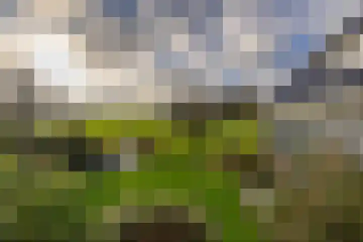 Toornwerderweg 4 Toornwerd thumbnail 64