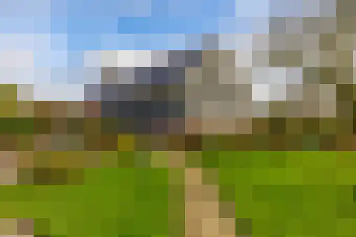 Toornwerderweg 4 Toornwerd thumbnail 65