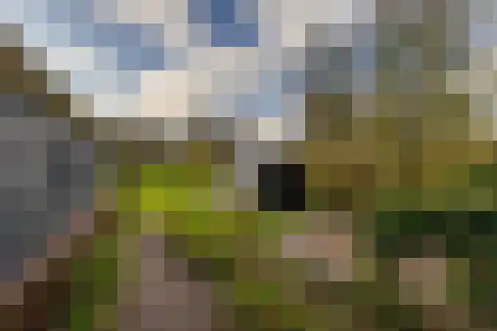 Toornwerderweg 4 Toornwerd thumbnail 67