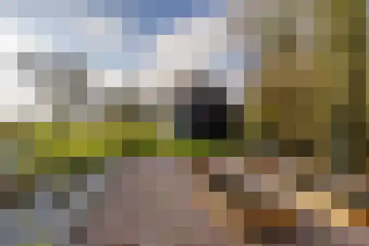 Toornwerderweg 4 Toornwerd thumbnail 68