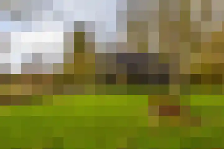 Toornwerderweg 4 Toornwerd thumbnail 69