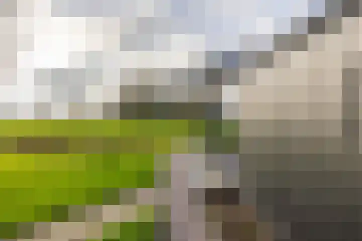 Toornwerderweg 4 Toornwerd thumbnail 70