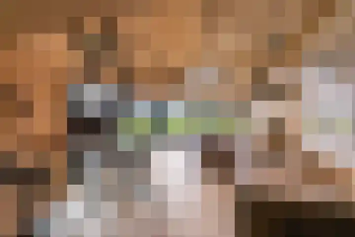 Toornwerderweg 4 Toornwerd thumbnail 71