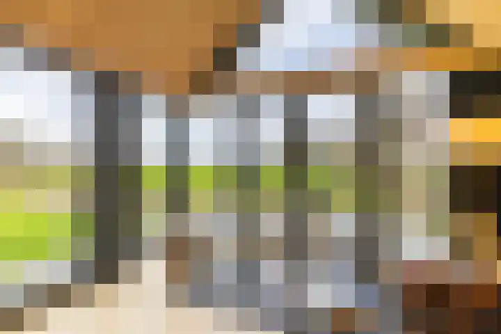 Toornwerderweg 4 Toornwerd thumbnail 73