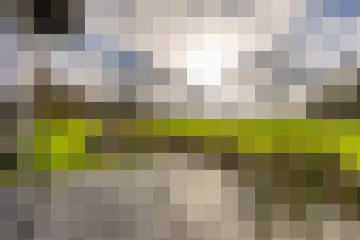 Toornwerderweg 4 Toornwerd thumbnail 74