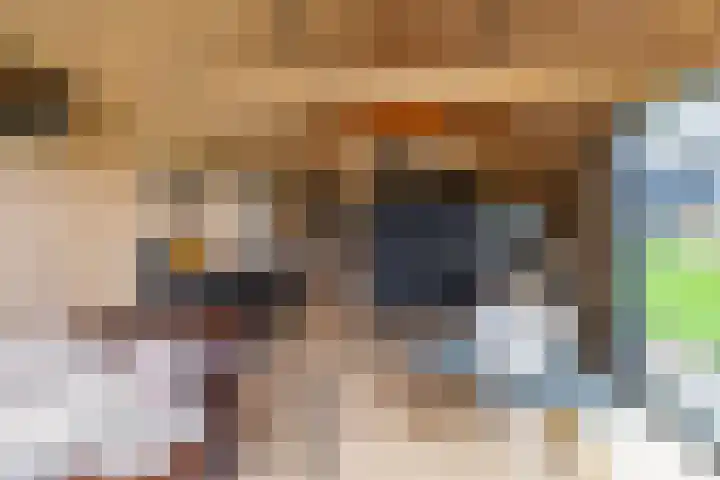 Toornwerderweg 4 Toornwerd thumbnail 76