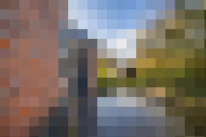 Toornwerderweg 4 Toornwerd thumbnail 81