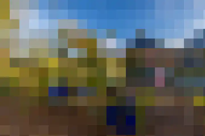 Toornwerderweg 4 Toornwerd thumbnail 84