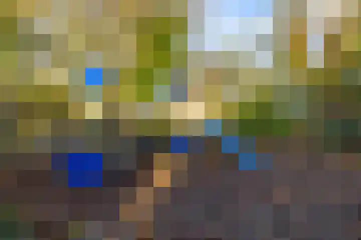Toornwerderweg 4 Toornwerd thumbnail 85