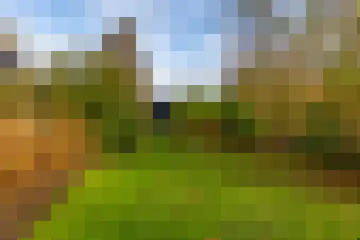 Toornwerderweg 4 Toornwerd thumbnail 86