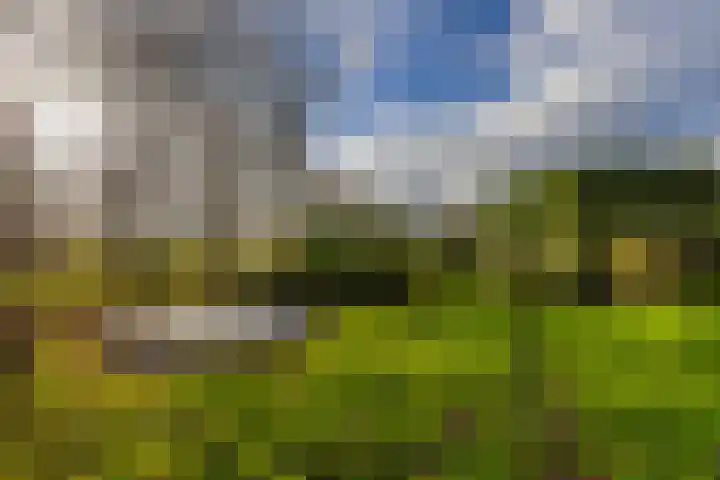 Toornwerderweg 4 Toornwerd thumbnail 87