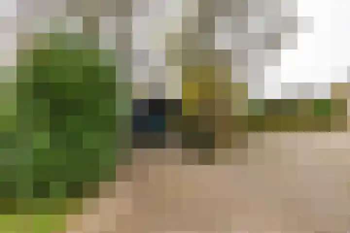 Toornwerderweg 4 Toornwerd thumbnail 90